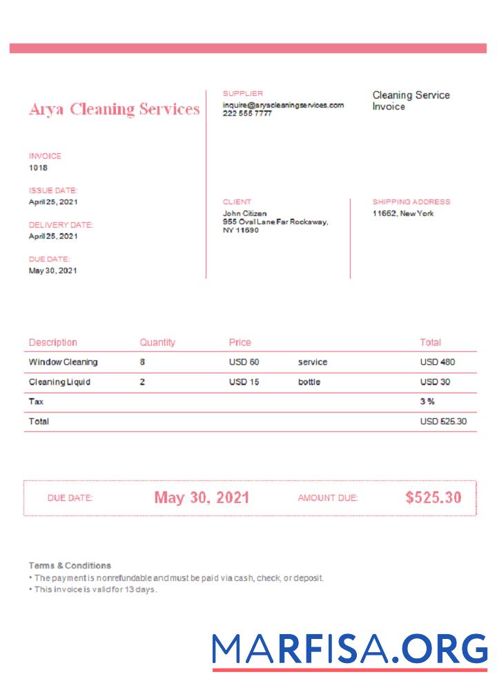 Printable USA Arya Cleaning Services invoice real example